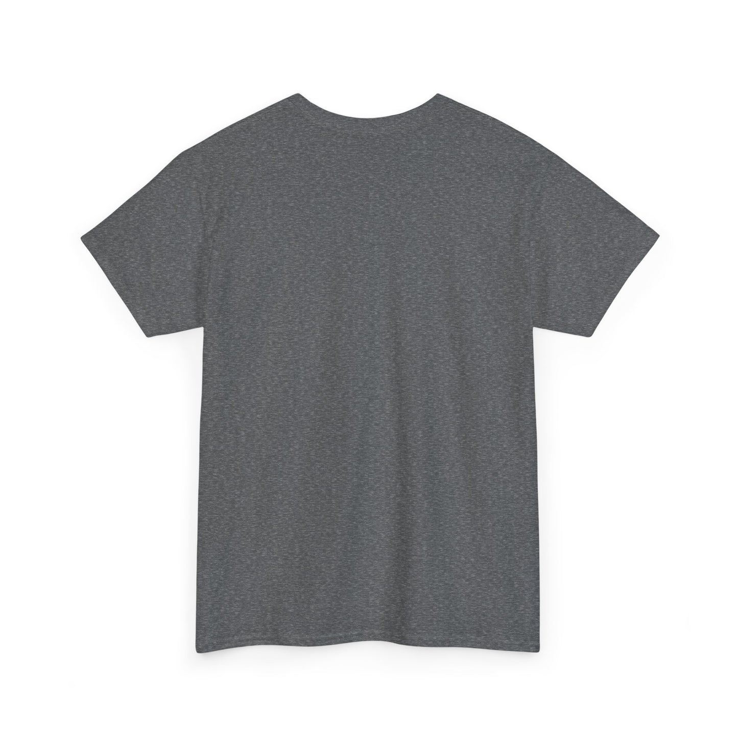 Dog Dad Heavy Duty Unisex Tee Sizes Small - 5XL (11 colors)