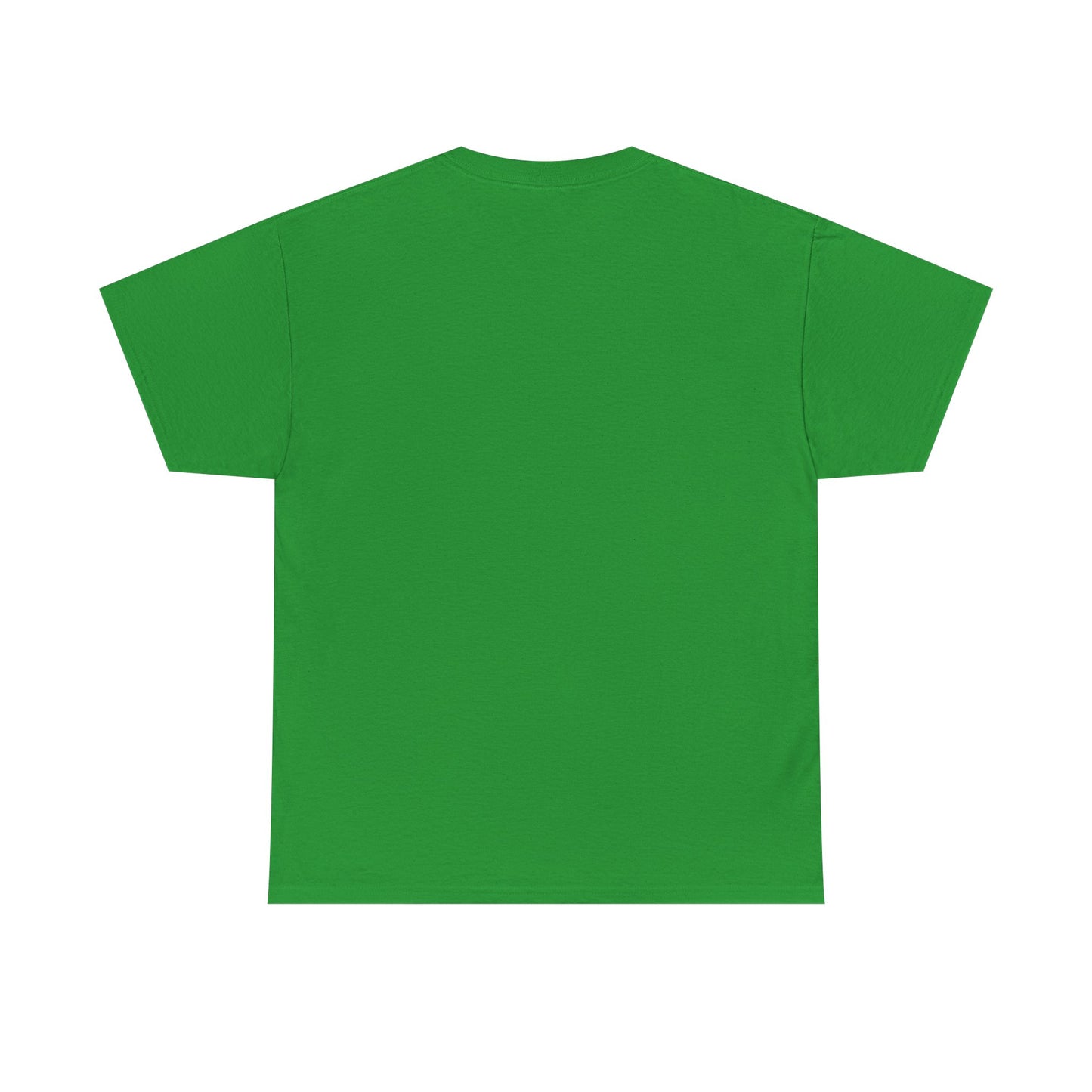 Dog Dad Heavy Duty Unisex Tee Sizes Small - 5XL (11 colors)