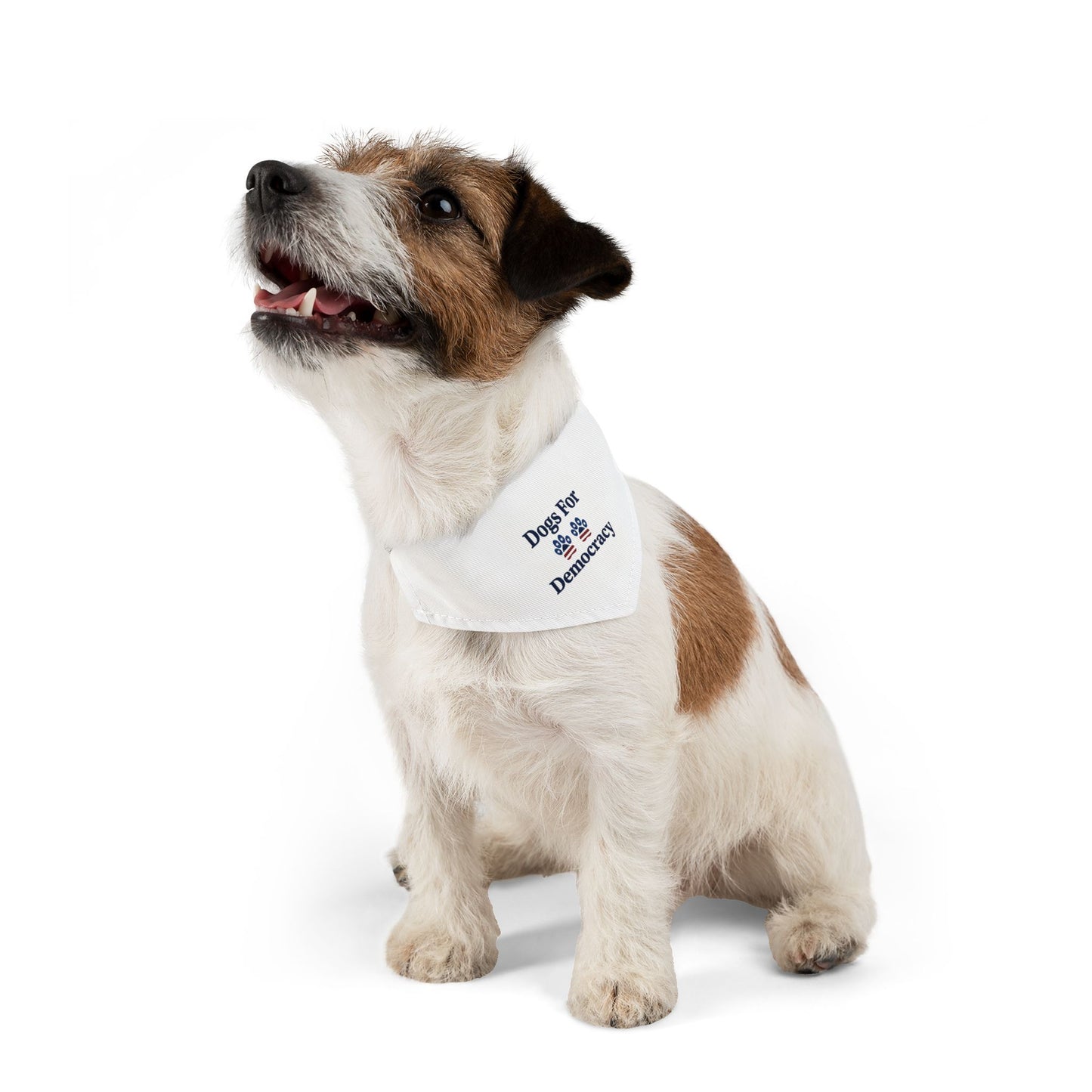 Dogs For Democracy Bandana and Collar