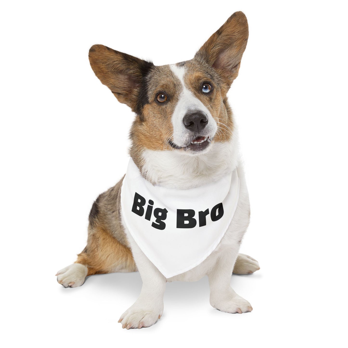 Big Bro Pet Bandana with Collar