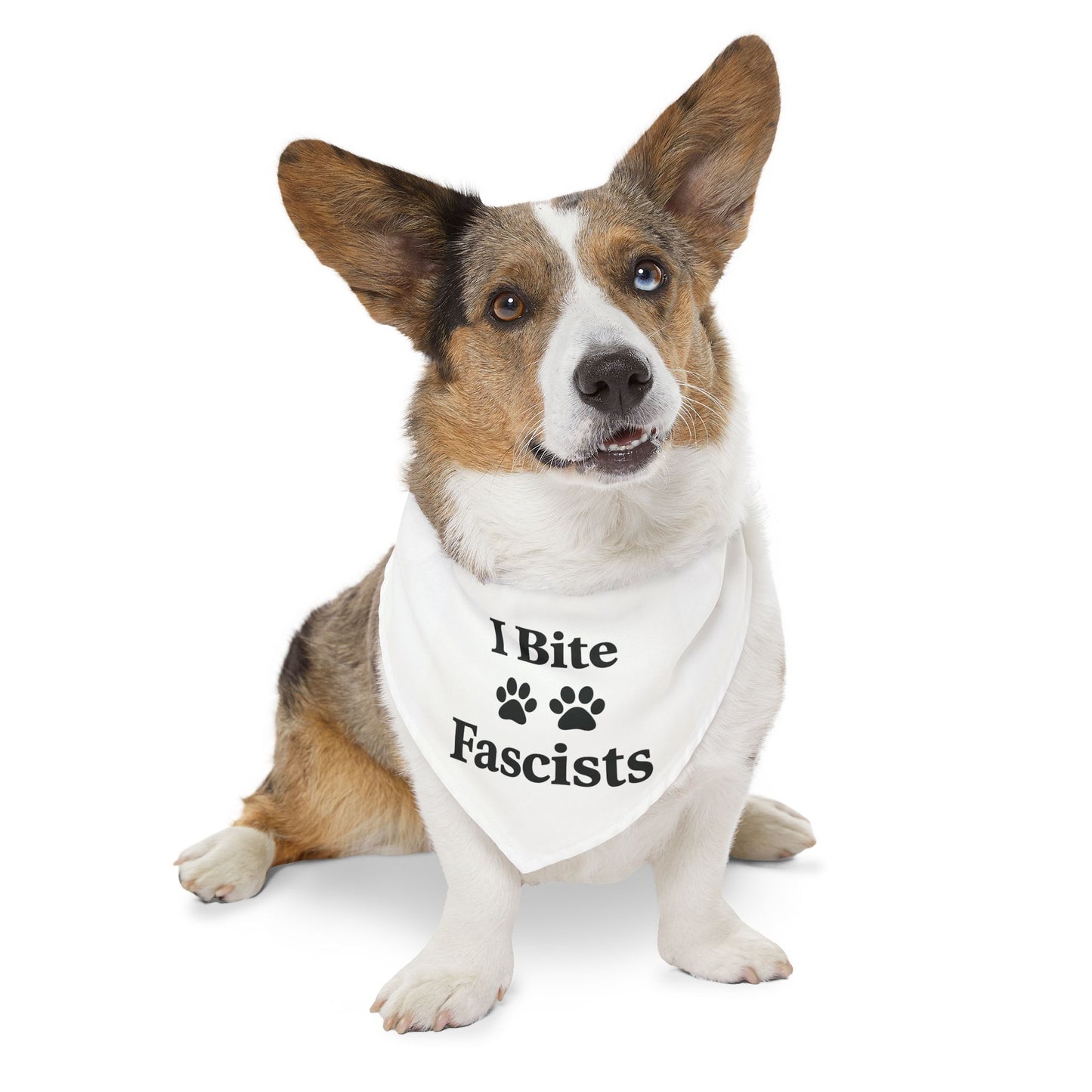 I Bite Fascists Dog Bandana and Collar