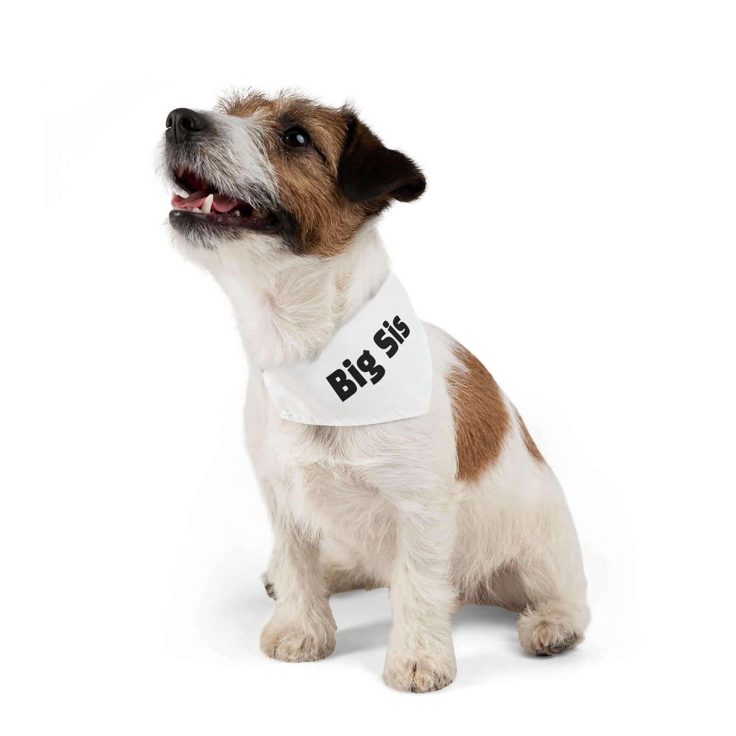 Big Sis Pet Bandana with Collar