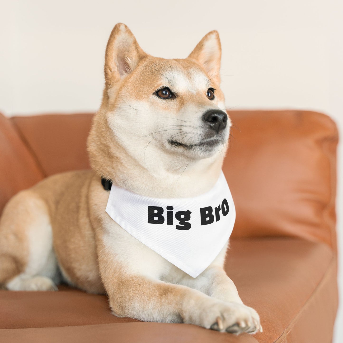 Big Bro Pet Bandana with Collar