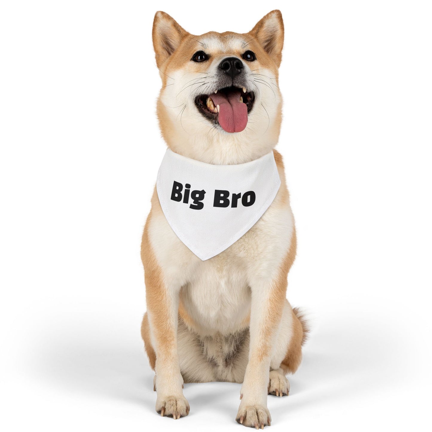 Big Bro Pet Bandana with Collar