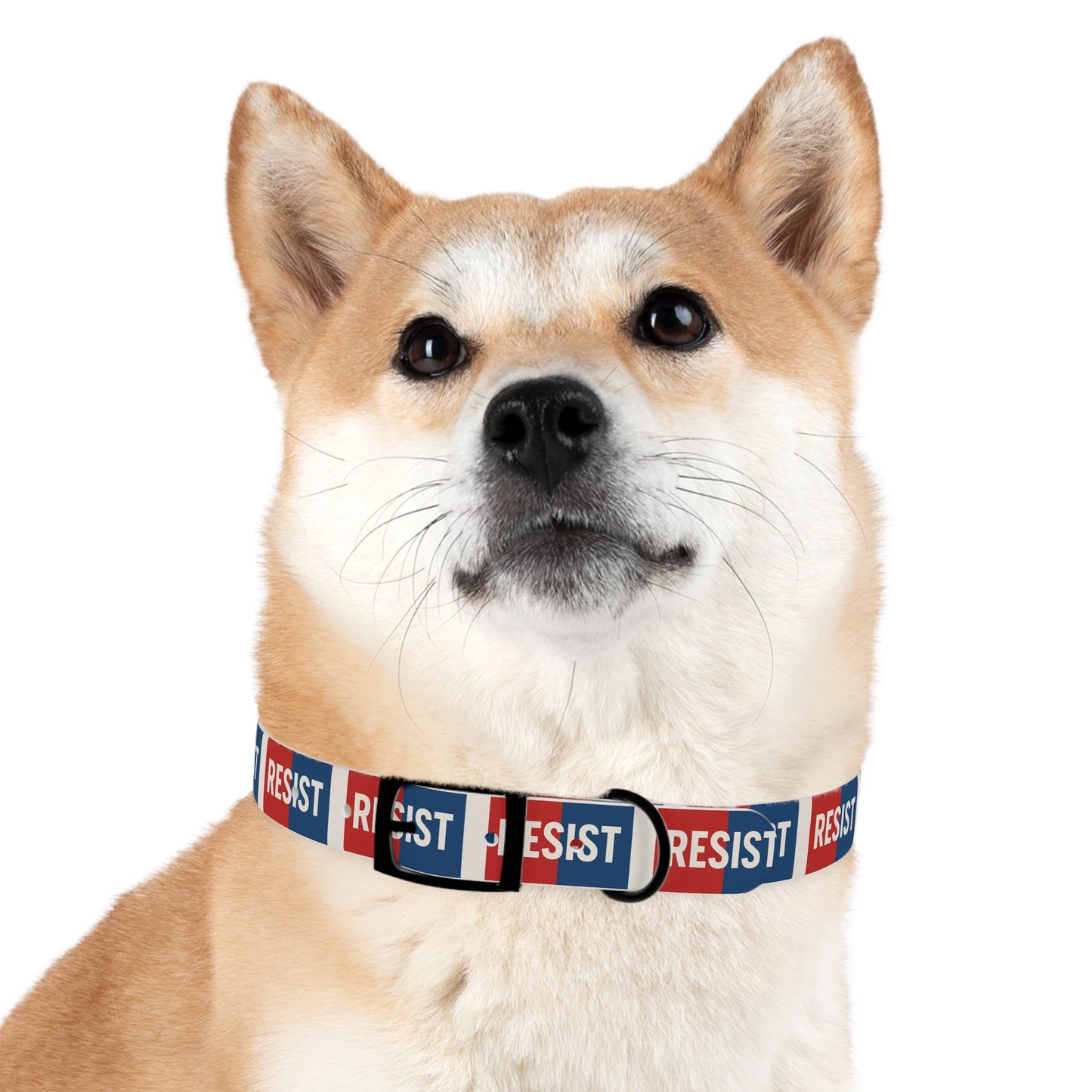 Resist Dog Collar