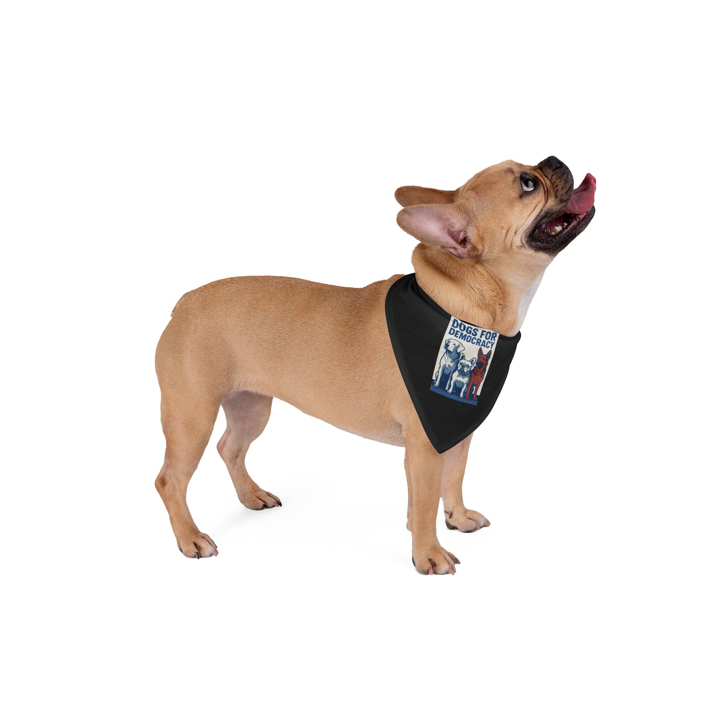 Exclusive Dogs for Democracy Design Tie Bandana