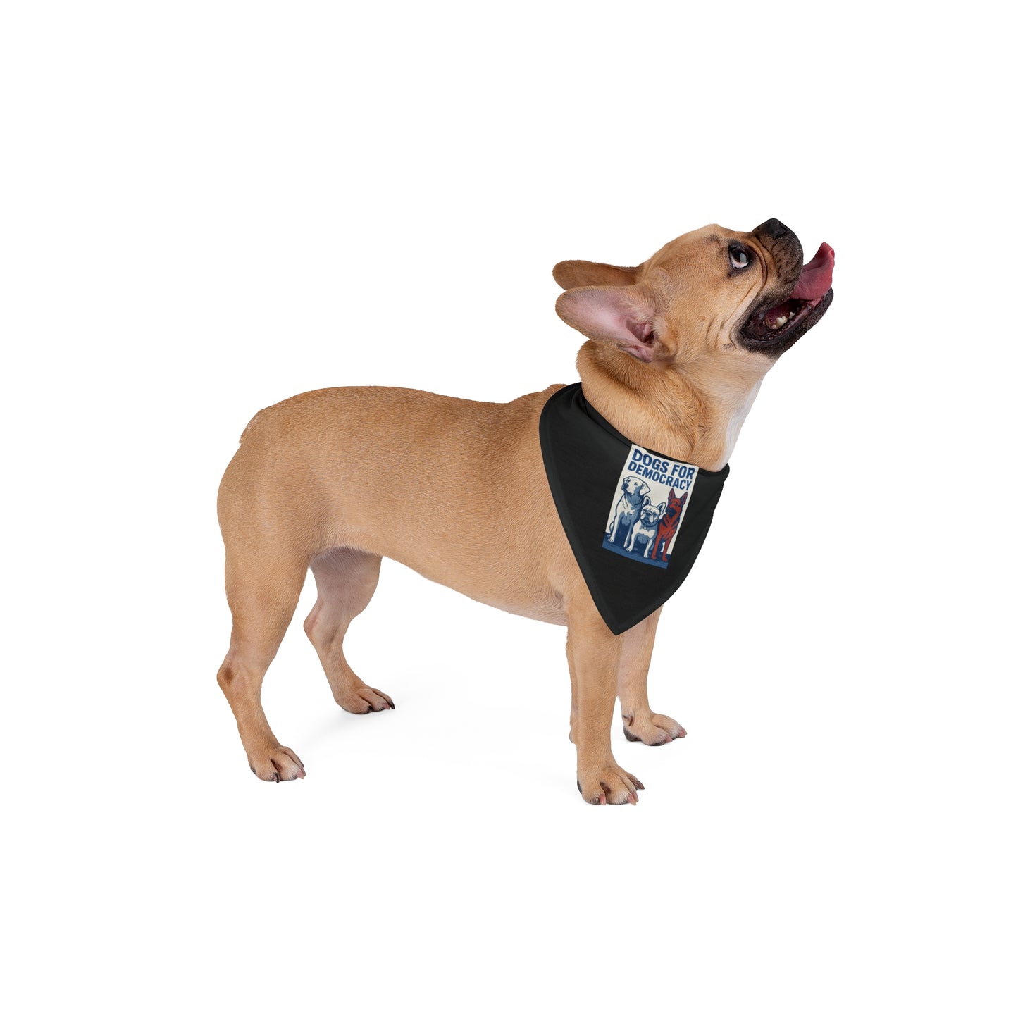 Exclusive Dogs for Democracy Design Tie Bandana