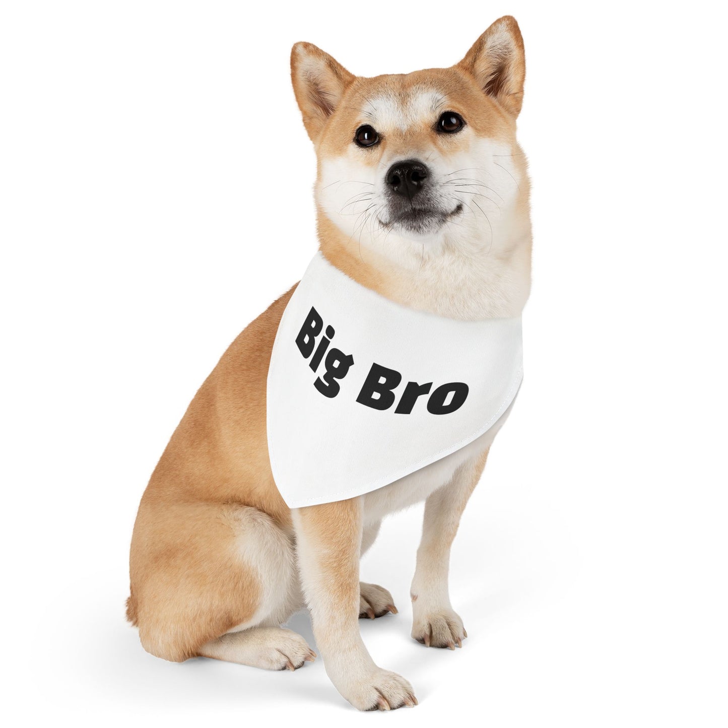 Big Bro Pet Bandana with Collar