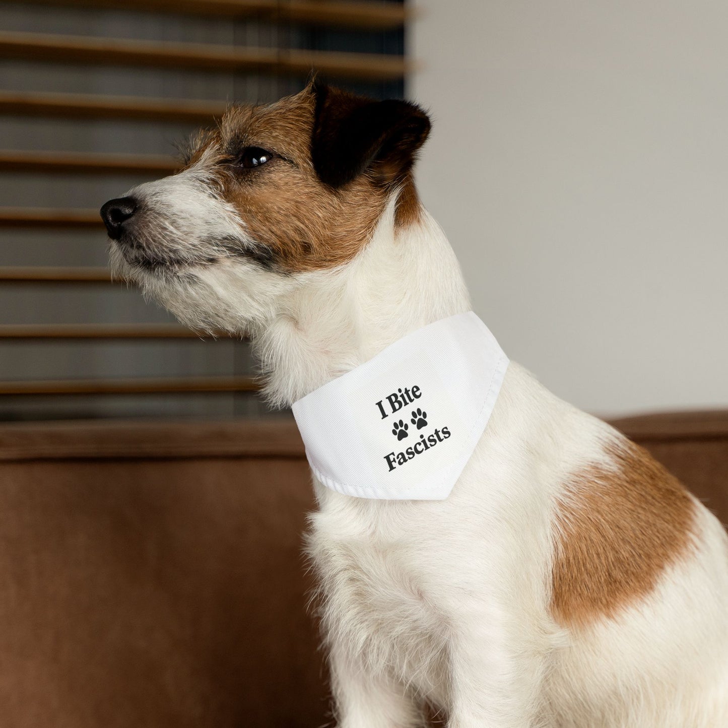 I Bite Fascists Dog Bandana and Collar