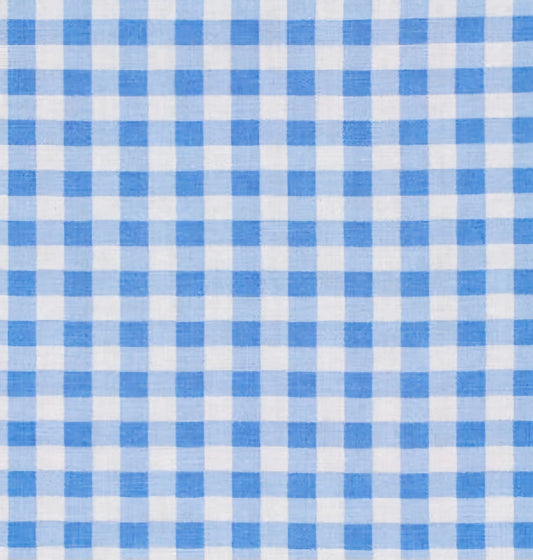 Light Blue and White Check Bandana