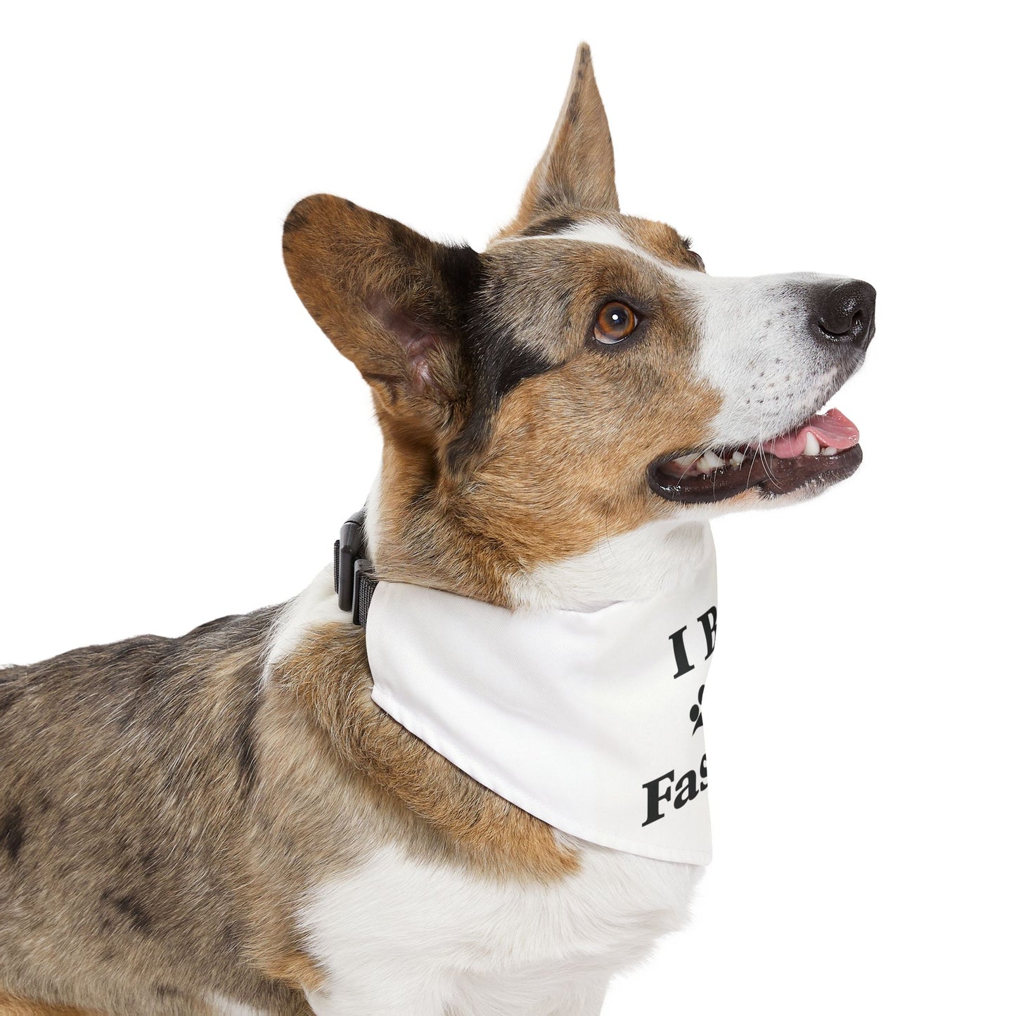 I Bite Fascists Dog Bandana and Collar