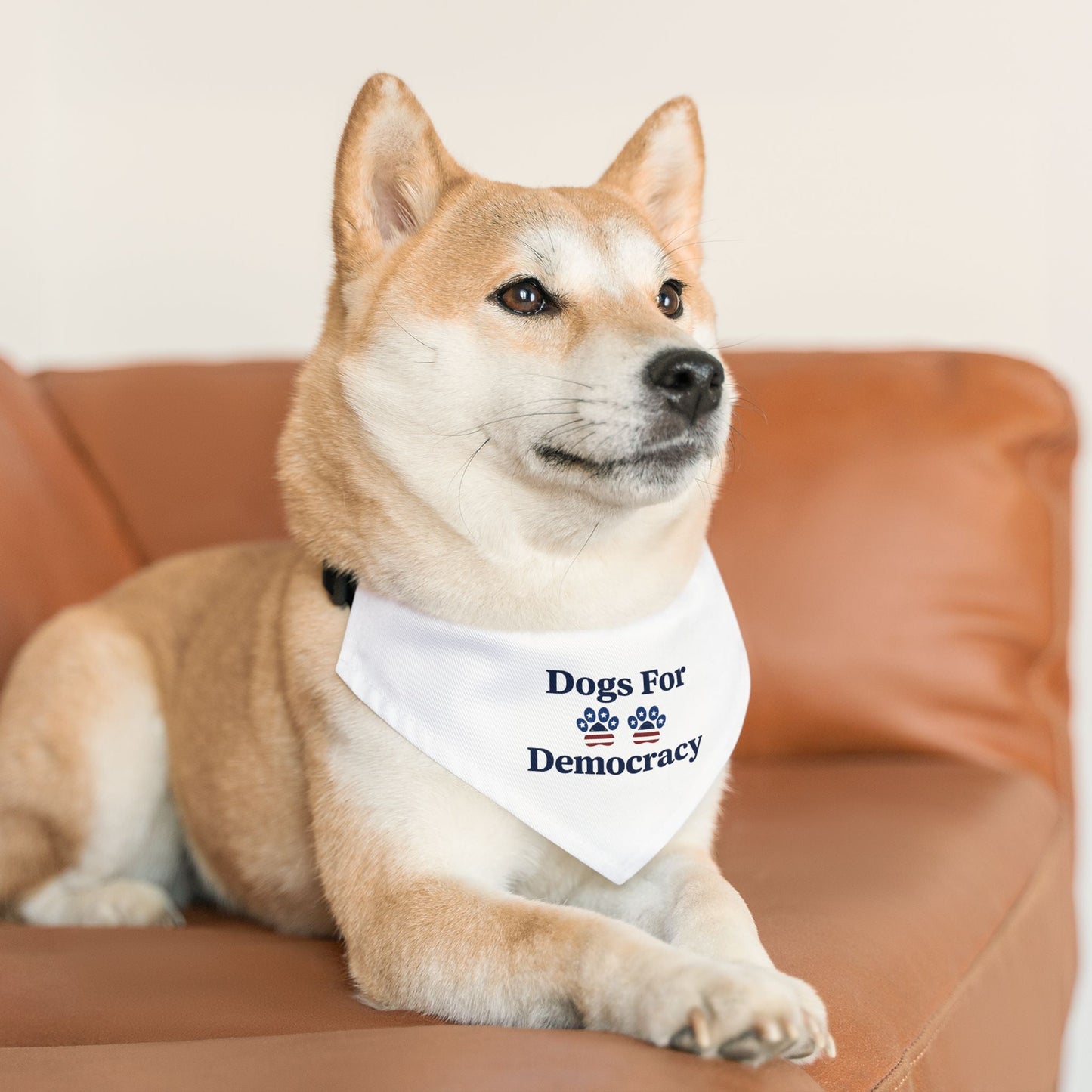 Dogs For Democracy Bandana and Collar