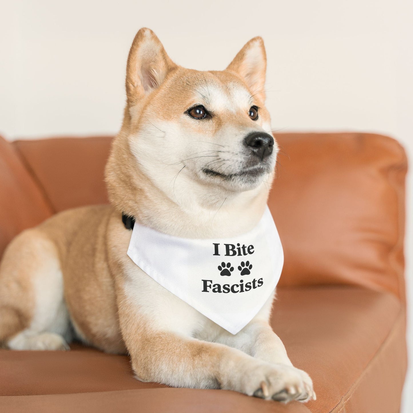 I Bite Fascists Dog Bandana and Collar
