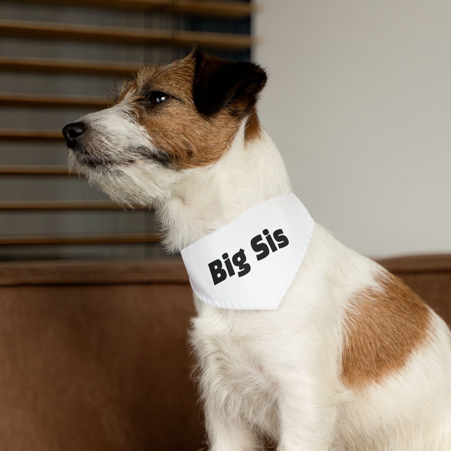 Big Sis Pet Bandana with Collar