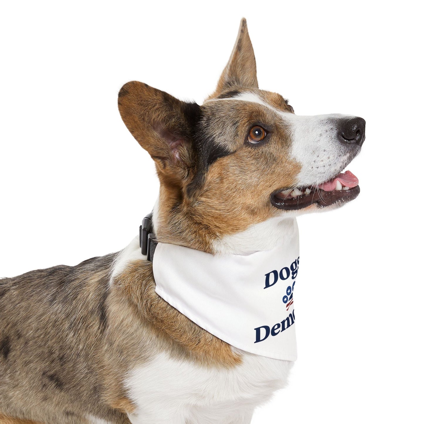 Dogs For Democracy Bandana and Collar