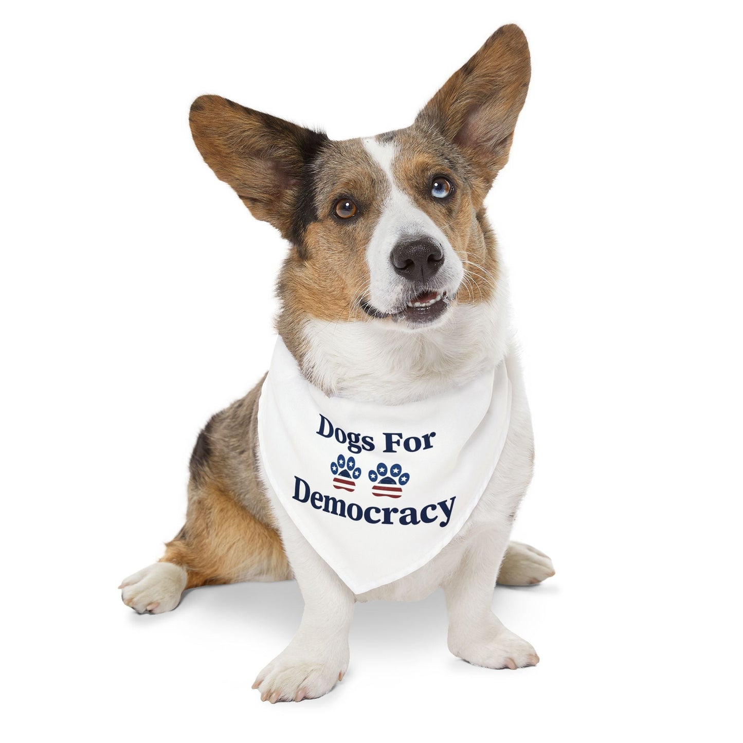 Dogs For Democracy Bandana and Collar