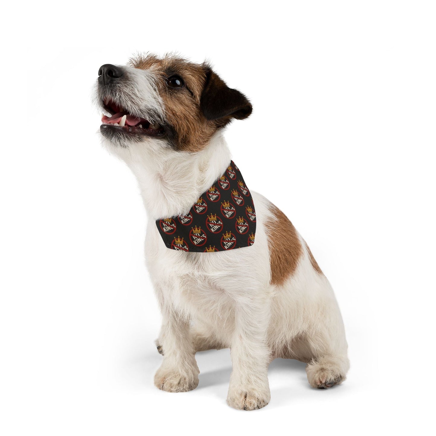 No Kings Bandana and Collar