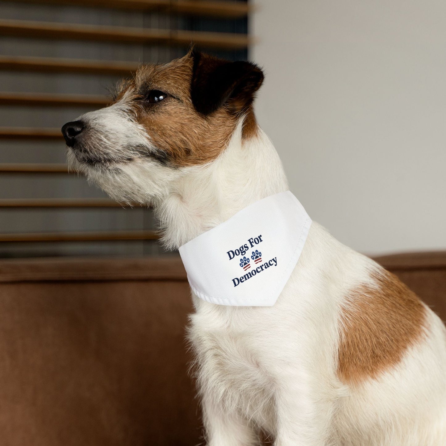 Dogs For Democracy Bandana and Collar