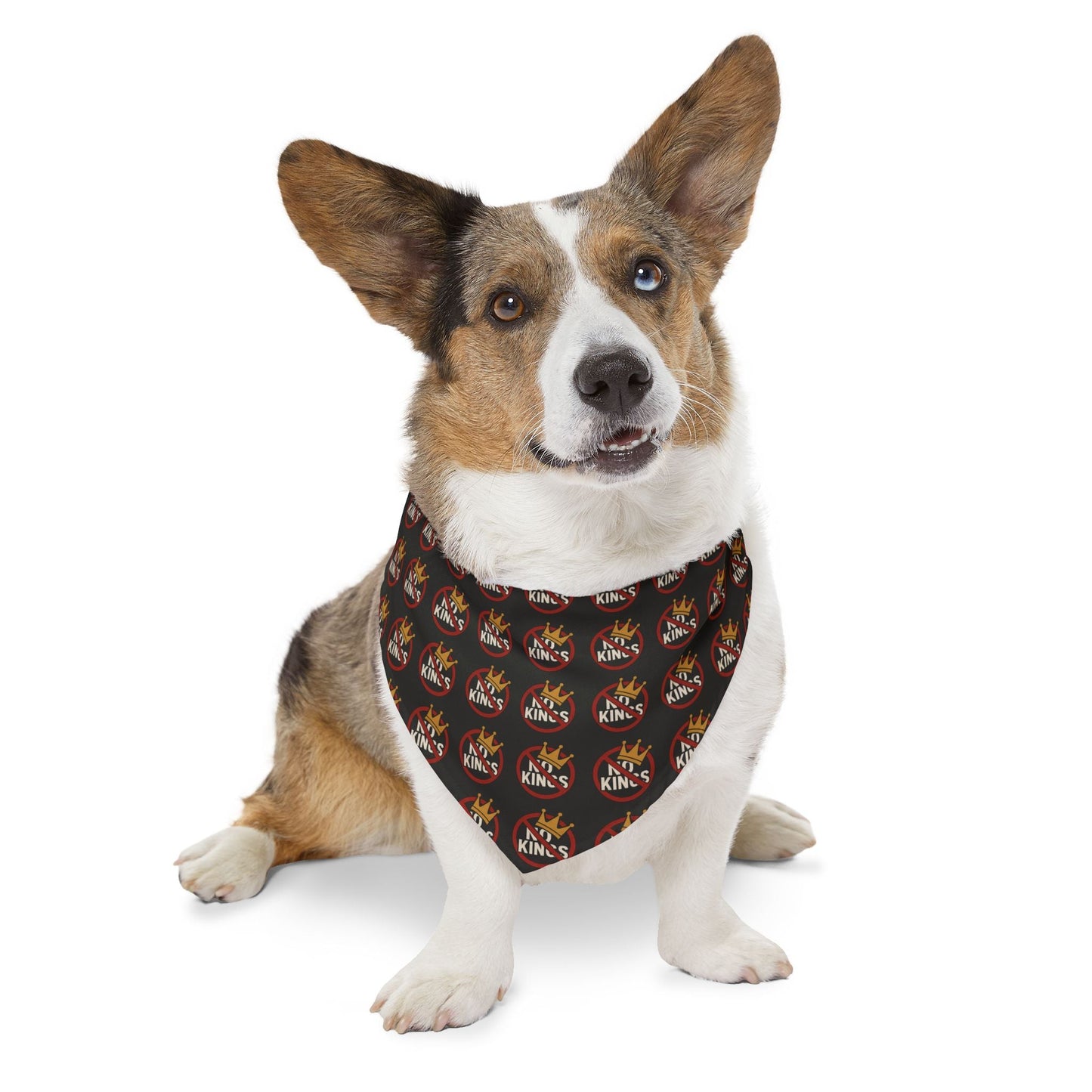 No Kings Bandana and Collar