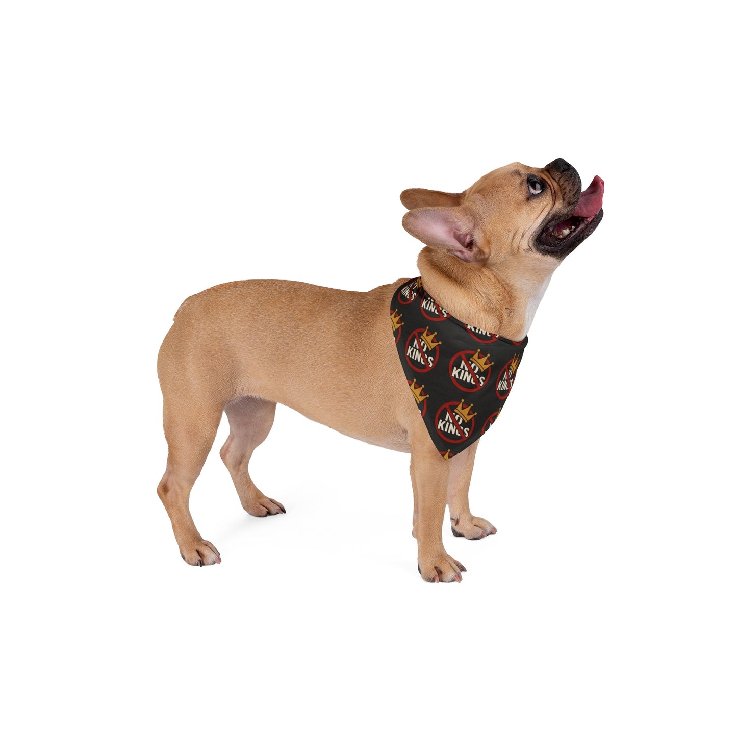 No Kings Bandana