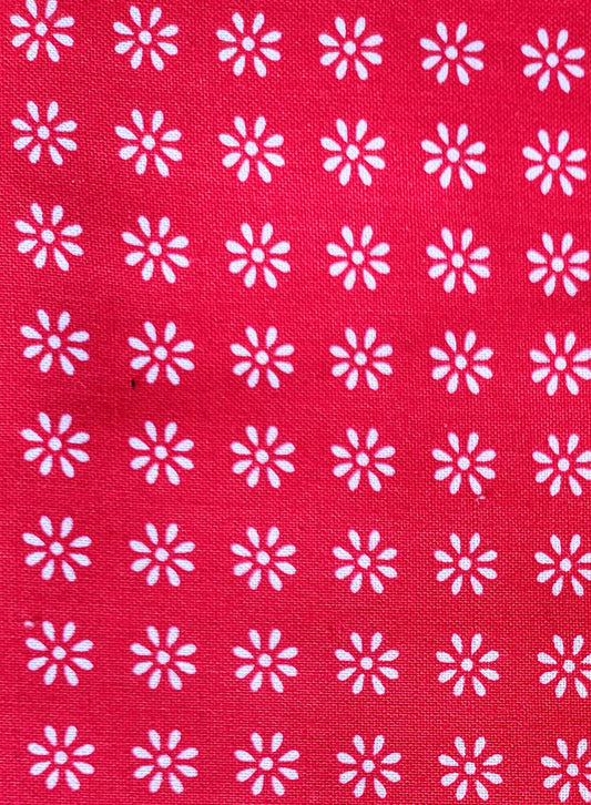 White Daisies on Red