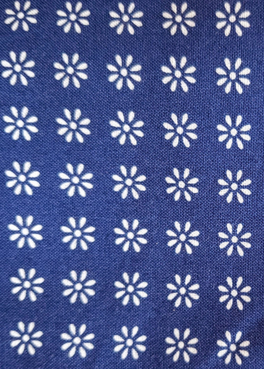 White Daisies on Blue